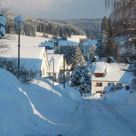 公寓 Haus Belchen *